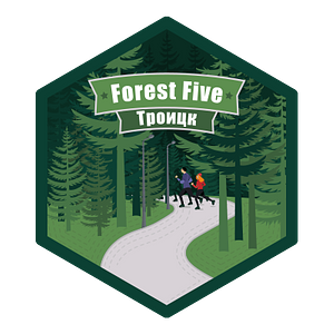 1 год в системе S95