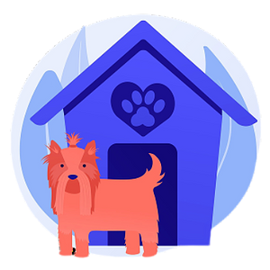 Паро 5 Вайгельбе